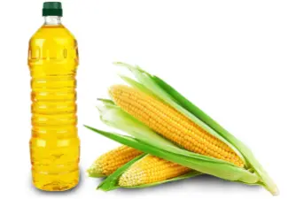 Corn Oil Manufacturer